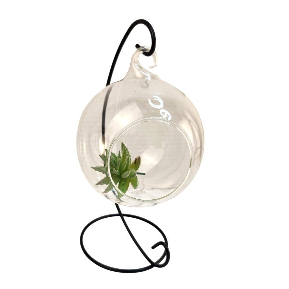 Hanging Glass Terrarium With Metal Stand Planter for Air Plants Succulents Candl
